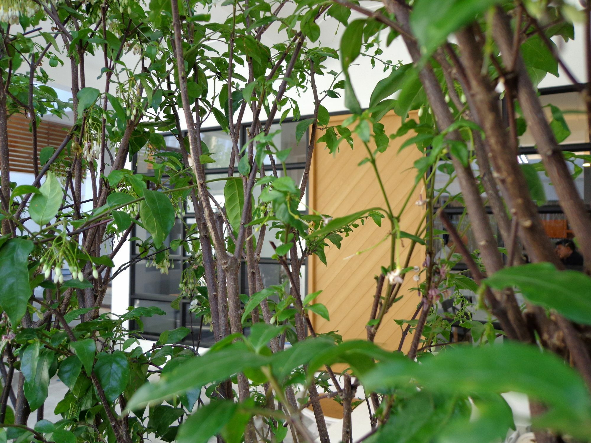 Silom Studios Bangkok Exterior foto